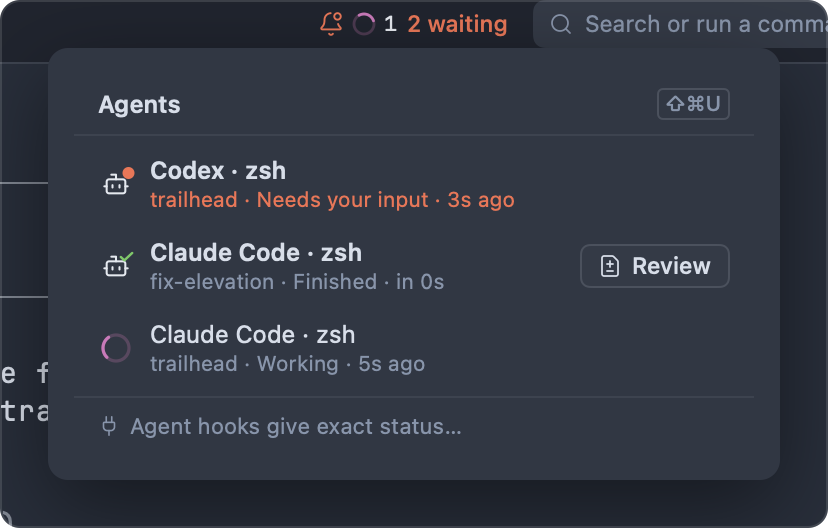 The agents list: Codex needs your input, one Claude Code session finished with a Review button, another is working